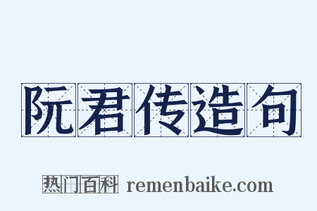 阮君传造句是什么意思的图片